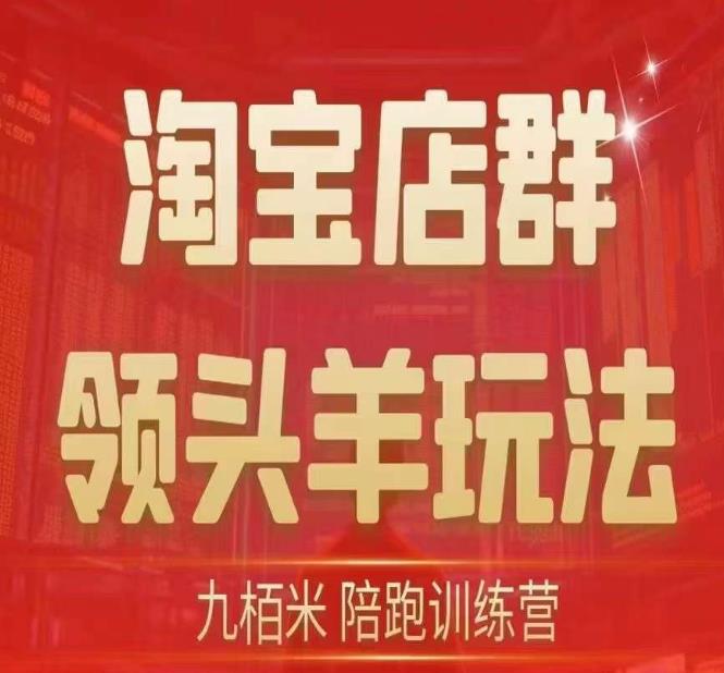 九栢米-淘宝店群领头羊玩法，教你整个淘宝店群领头羊玩法以及精细化/终极蓝海/尾销等内容-创科技