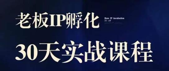 诸葛·2023老板IP实战课，实体同城引流获客，IP孵化必听-创科技