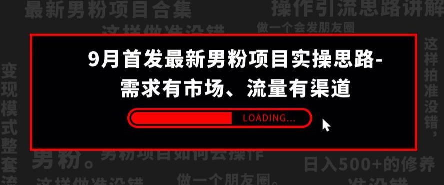 9月首发最新男粉项目实操思路-需求有市场，流量有渠道【揭秘】-创科技