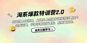 淘系爆款特训营2.0【第六期】从选品上架到付费放大 全店运营 打爆款 做好店-创科技