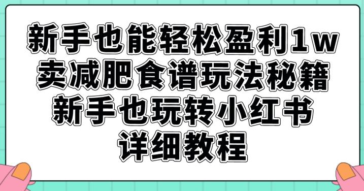 小白也能轻松盈利1W，卖减肥食谱玩法秘籍，新手也玩转小红书详细教程【揭秘】-创科技