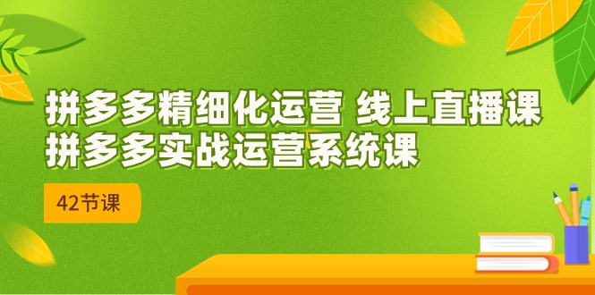 2023年8月新课-拼多多精细化运营 线上直播课：拼多多实战运营系统课-42节-创科技